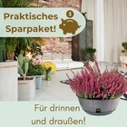 Bild 6 von 6