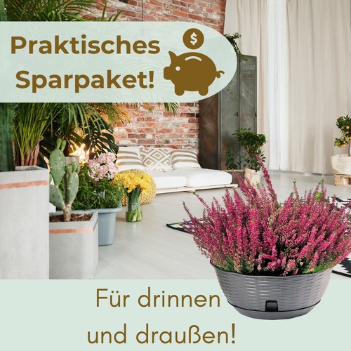 2x Pflanzschale Blumenschale für draussen Bonsai Topf Grabschale Anthrazit 40 cm - Bild 6 von 6