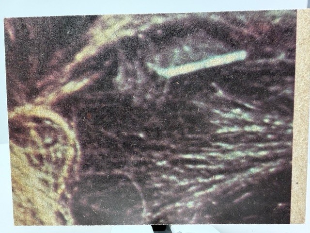 Picture 4 of 4