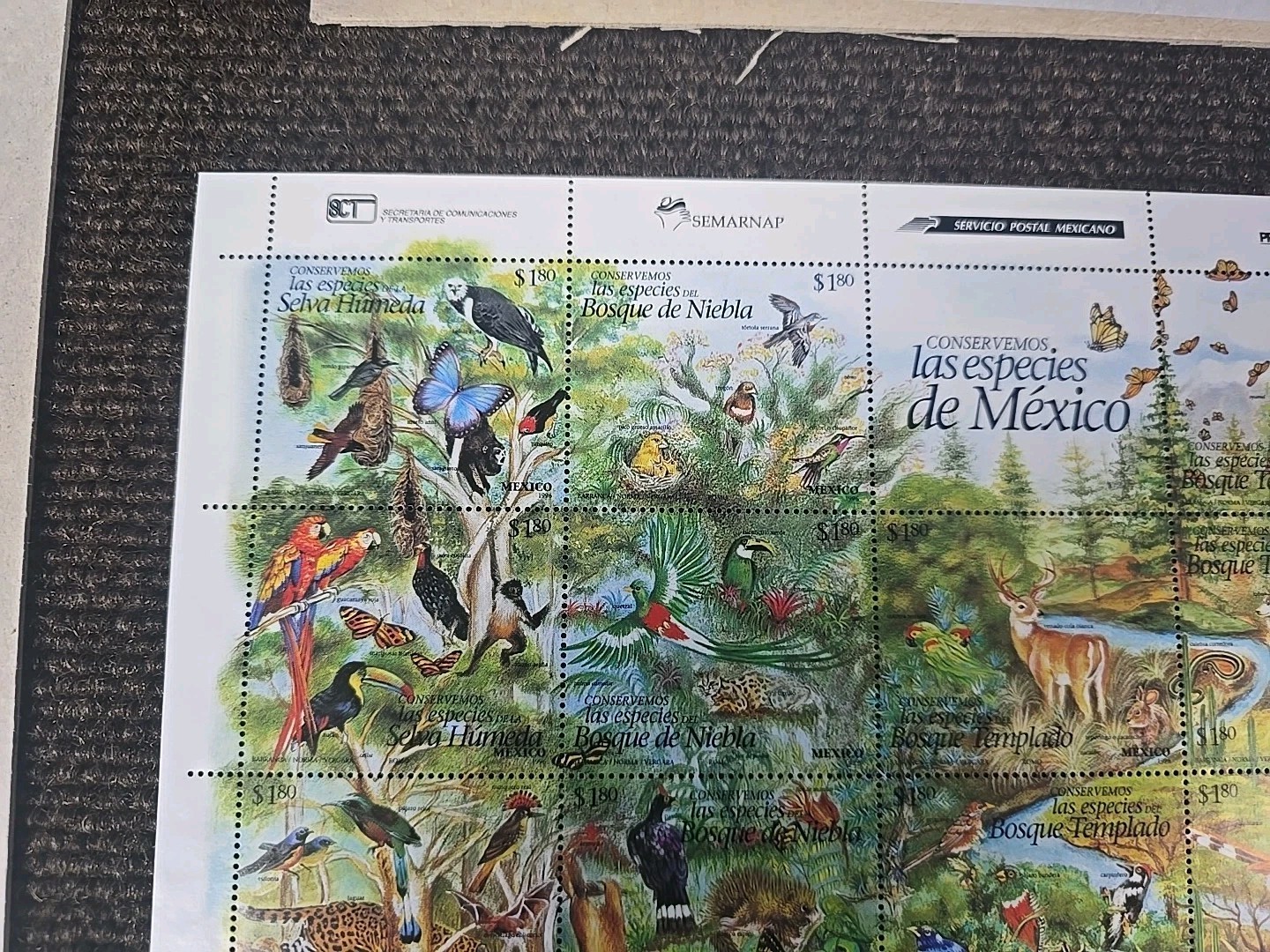 Picture 2 of 7