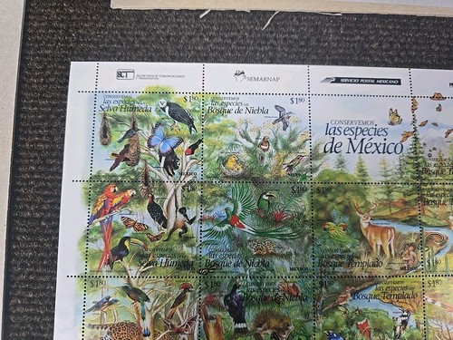 Mexico #1995 MNH Endangered Species e21.1 12738 - Picture 2 of 7