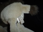 Bild 4 von 4