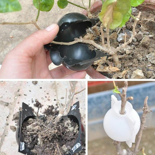 Plant High Pressure Box Graft Grafting Rooting Growing Device Propagation Ball - Picture 8 of 14