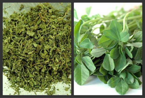 100g | DRIED FENUGREEK LEAVES **FREE UK POST** DRY FENUGREEK LEAF METHI KASTO... - Picture 1 of 1