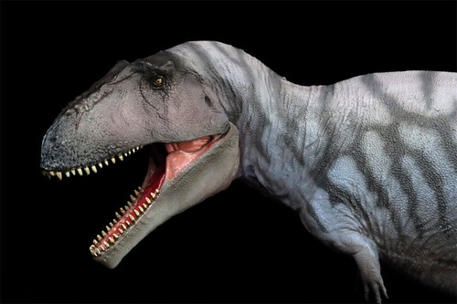 Modellino dinosauro animale preistorico PNSO 69 Meraxes Mungo decorazione da collezione - Foto 8 di 15