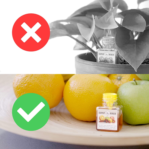 Fruit Fly Killer - 2 Pack - Environmentally Responsible Highly Effective Ecologi - Picture 9 of 12