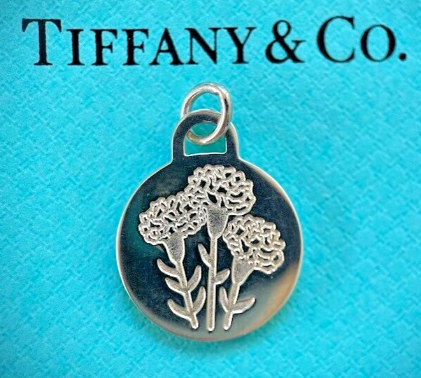 TIFFANY & Co Sterling Silver Necklace Nagoya Marathon Go Women Tag