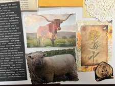 MINI 30+ Piece Junk Journal Kit -  Paper- Country Themed! 