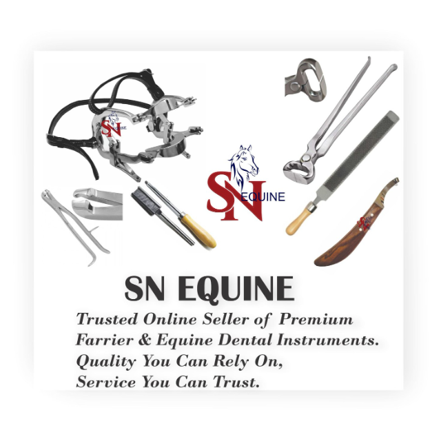 SN EQUINE