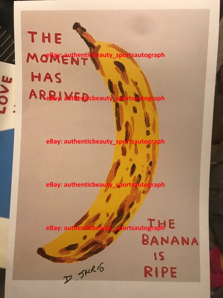 DAVID SHRIGLEY ART THE MOMENT HAS ARRIVED BANANA IS RIPE SIGNED