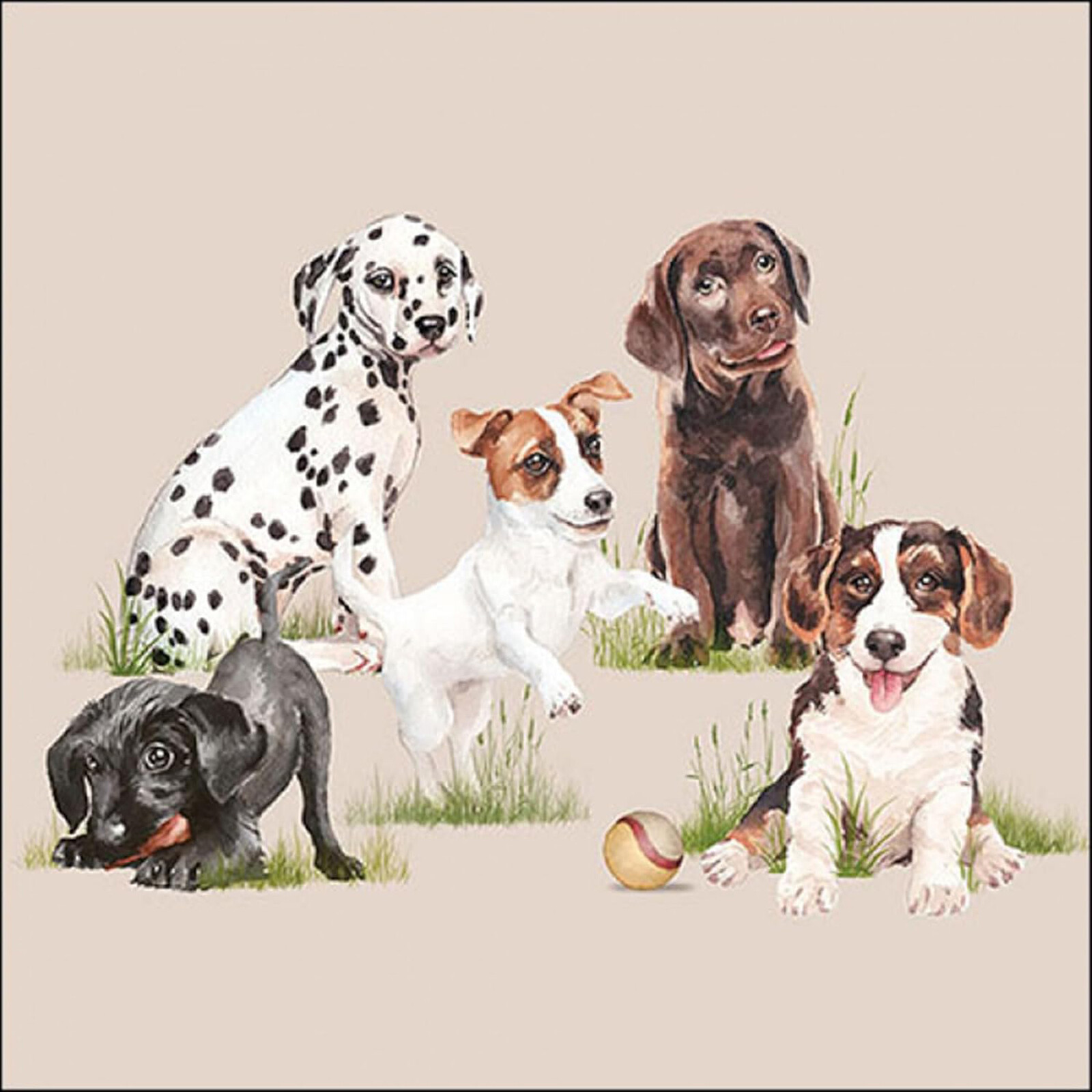 Dog Puppy Napkins Dog Lover Decoupage 3 ply Serviettes Dalmation Jack Russell 20