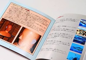 Mega CD -- Thunder Storm FX -- Free Shipping with Tracking number New from Japan