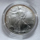 2007-W Burnished Silver American Eagle $1 .999 Fine Silver Coin [E1]