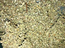 Mullein  Marshmallow Herbal Blend Bulk Organic Medicinal Mix - 1 2 4 8 oz lb