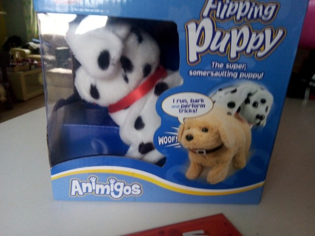 tobar flipping puppy