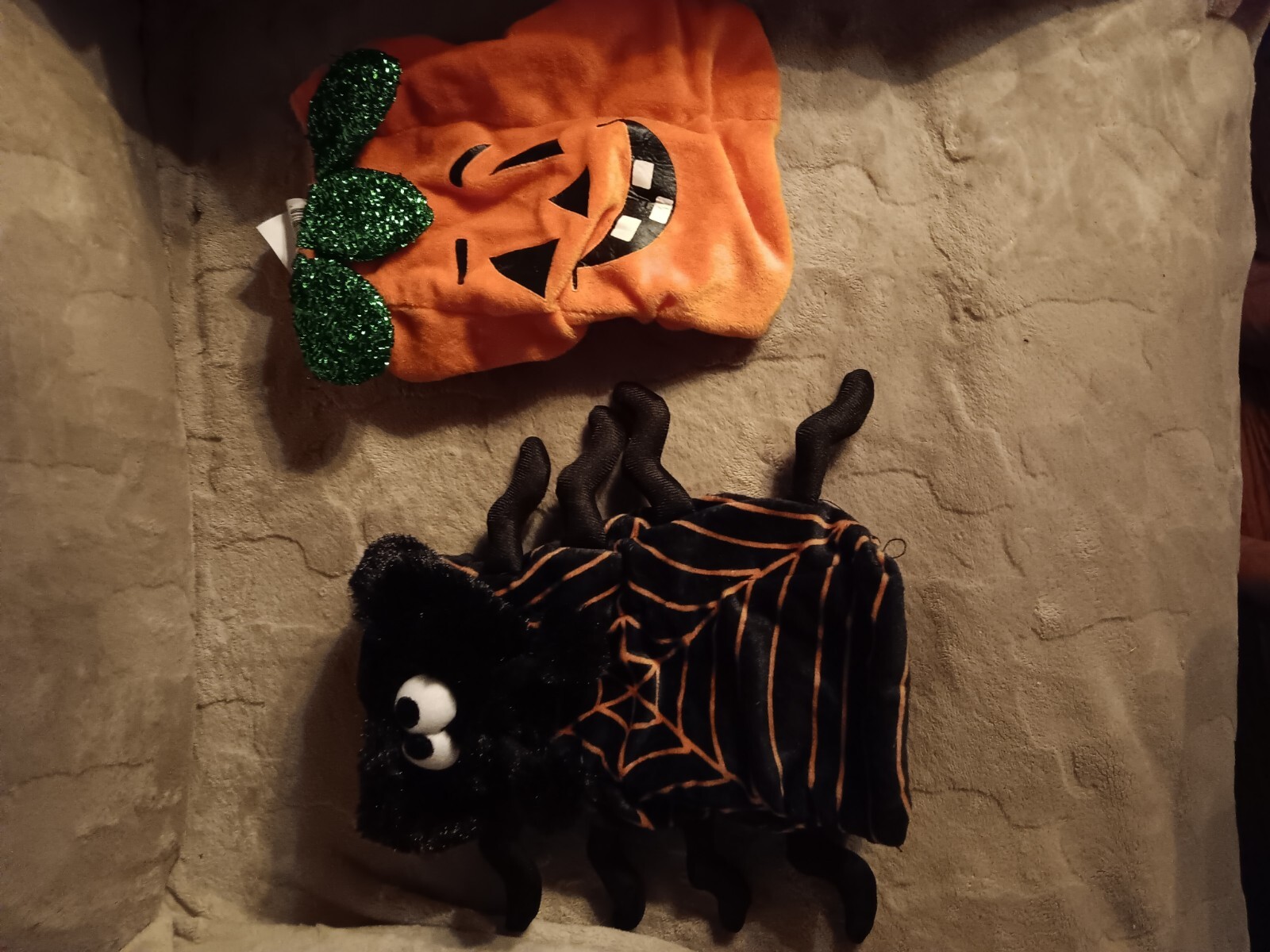 5 Pc Xs Dog Halloween Costumes eBay
