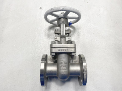 Neway 1-1/2'' 150# RF CF8M Gate Valve 15G1RG10-TFE