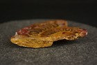 Petrified Fossil Ammonite, 3" [Y8-W6-A9] — photo 4