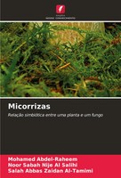 Mohamed Abdel-Raheem (U. A.) | Micorrizas | Taschenbuch | Portugiesisch (2024)