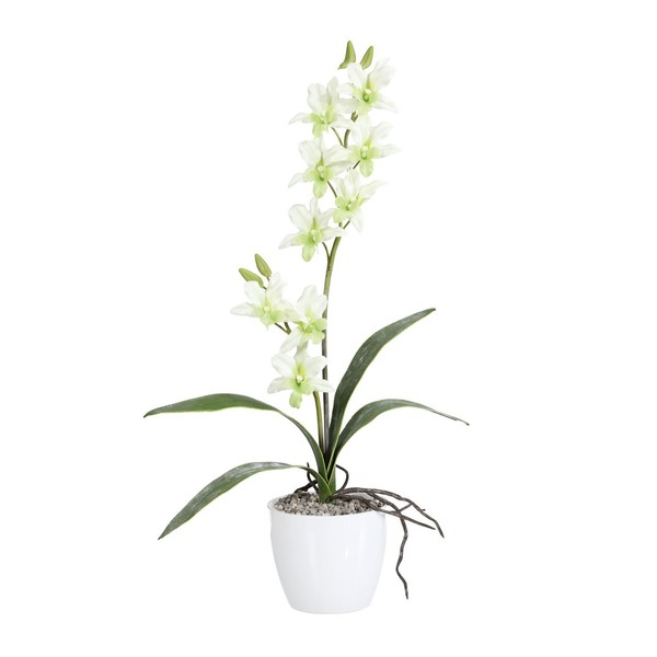 Kunstpflanze Orchidee Dendrobie, Farbe HellgrüN, Inkl. Keramiktopf, HöHe Ca. 60-image