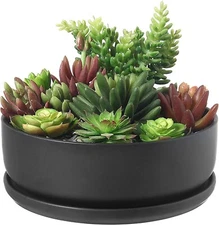 8-Inch Decor Modern Round Black Ceramic Succulent Planter with Removable Saucer