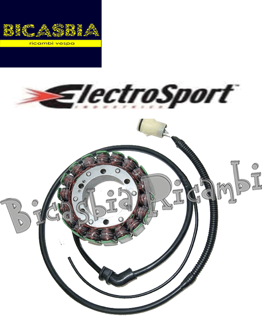 11957 - STATOR MAGNET ELECTROSPORT Kawasaki ZX-12R Ninja