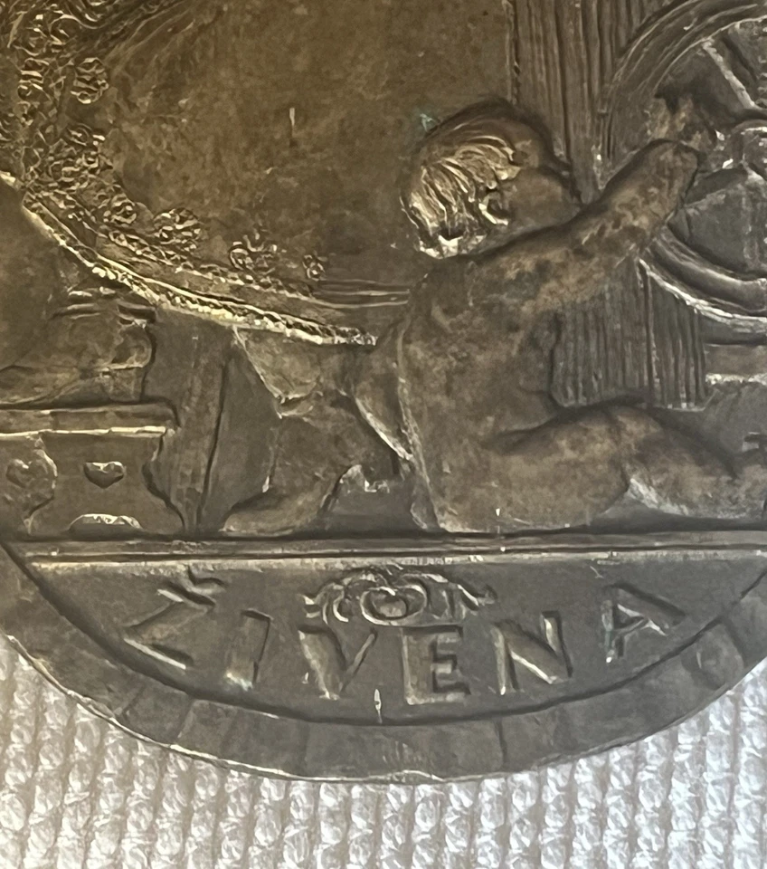 PLACCA BRONZO ZIVENA ORGANIZZAZIONE DIRITTI DELLE DONNE SLOVACCHIA 1869 - Immagine 2 di 4