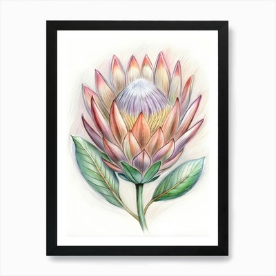 Protea Blume Kunstdruck gerahmt Wand gerahmt Wandbild Poster Leinwanddruck Bild