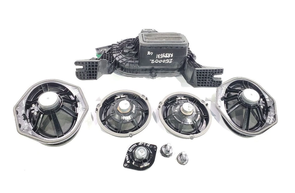 Juego de altavoces B&O Ford F150 2023 OEM con subwoofer MU5T-19A067-AC Foto 2 de 4