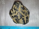 Native American Indian Hydroglypgic Rock Oregon Petroglyph Ancient Basalt 2.5" — photo 3