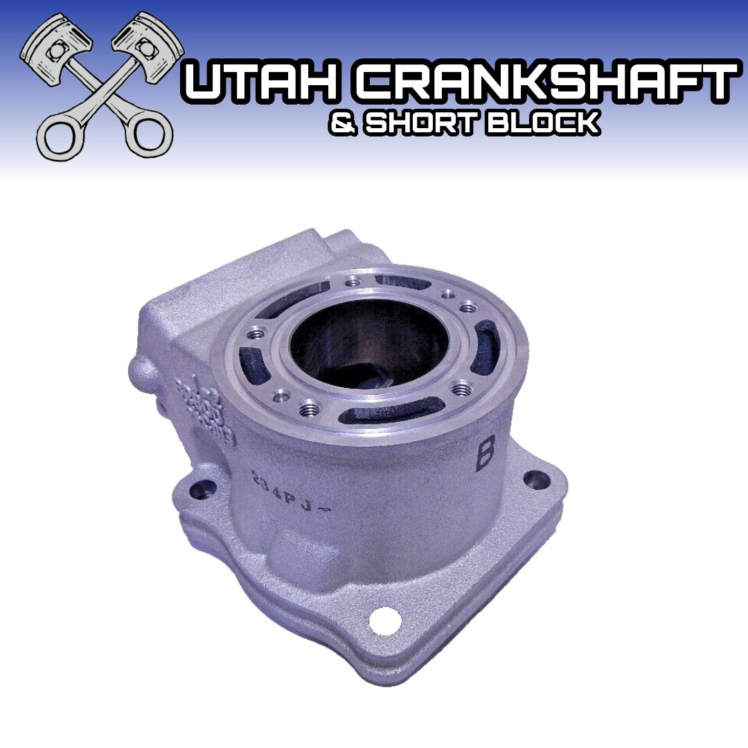 Brand New 2019-2023 Yamaha YZ 65 YZ65 Cylinder Jug STD
