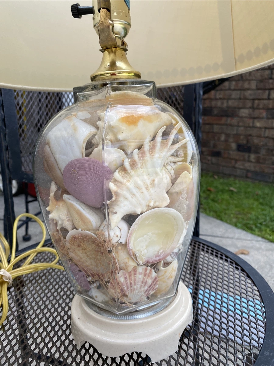 Seashell filled sale lamp