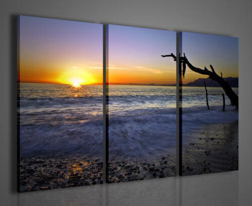 Ganci Per Quadri Triangolo - Set Da 8 Per Pareti Rigide, Facile Installazione