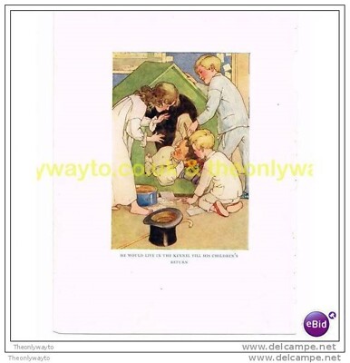 Er würde im Zwinger leben..., Peter Pan Buchillustration (Druck) 1925