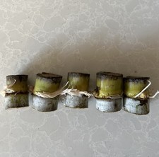 5pcs Rooted Sugarcane Cutting Green Yellow Sugarcane Sweet Juicy Ready To Plant