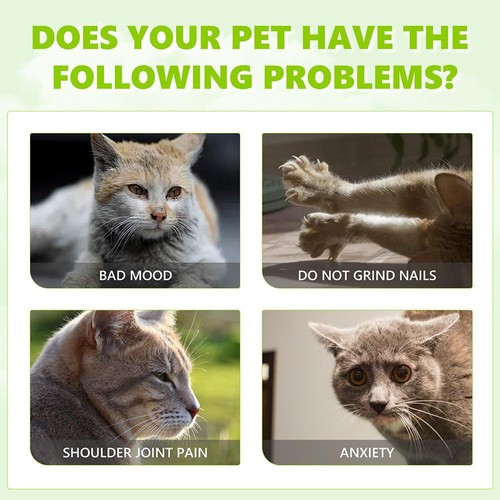 Herbal Cat Joy Silvervine Spray,Pet Catnip Spray For Indoor Calming Spray♤ F9P3 - Picture 10 of 12