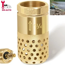 Foot Valve for Well Pump 1-1/4 Inch Female NPT Check Valve Strainer 0.18" Dia