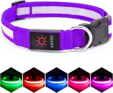 LED Dog Collar, Light Up Dog Collar Adjustable USB Rechargeable Super Bright ...