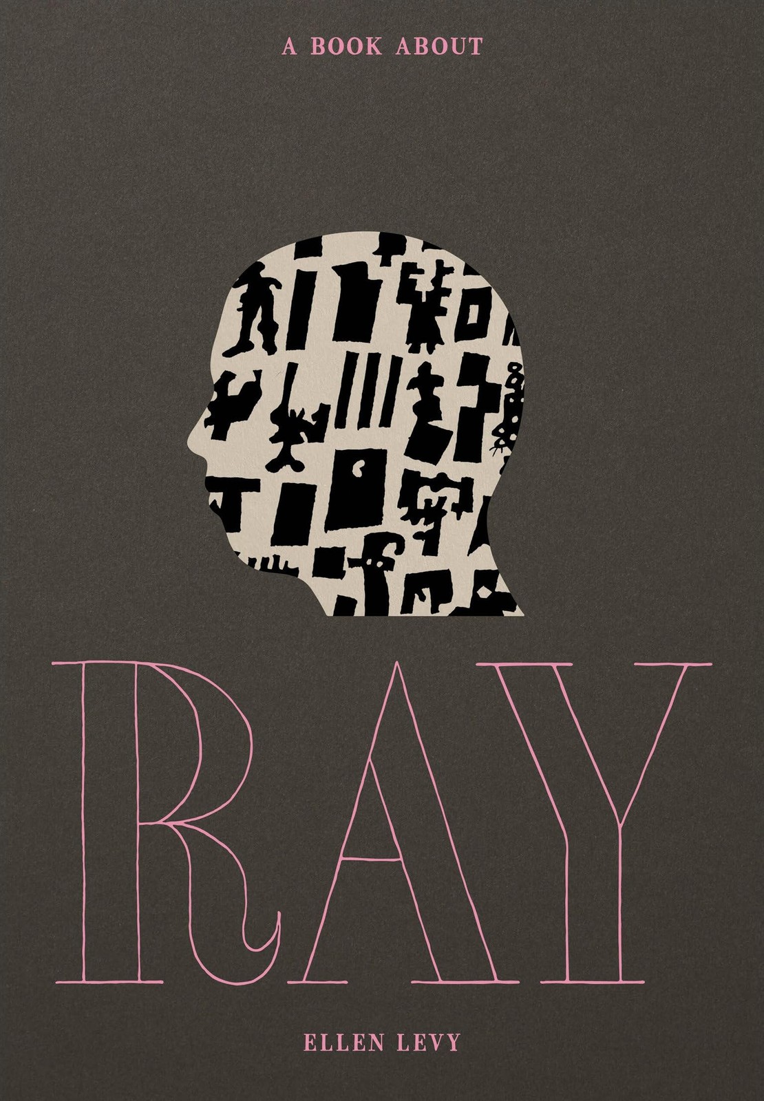 A Book about Ray by Levy  New 9780262048743 Fast Free Shipping^*