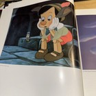 Picture 16 of 19
