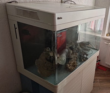 meerwasseraquarium gebraucht