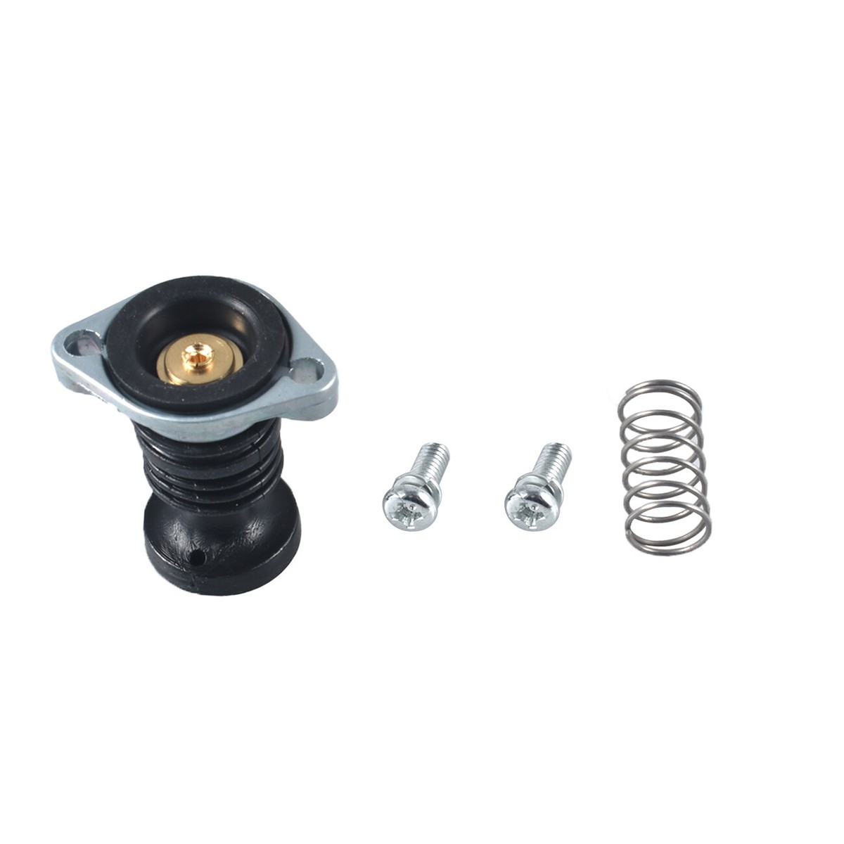 Primer Pump Fit Honda TRX300 FourTrax 300 94-00 Carburetor Repair Overhaul Kit E