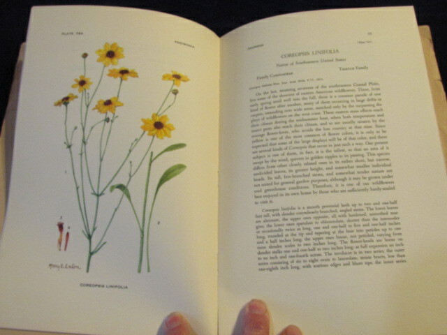 Vtg Color Botanical Prints 10 3/4x7