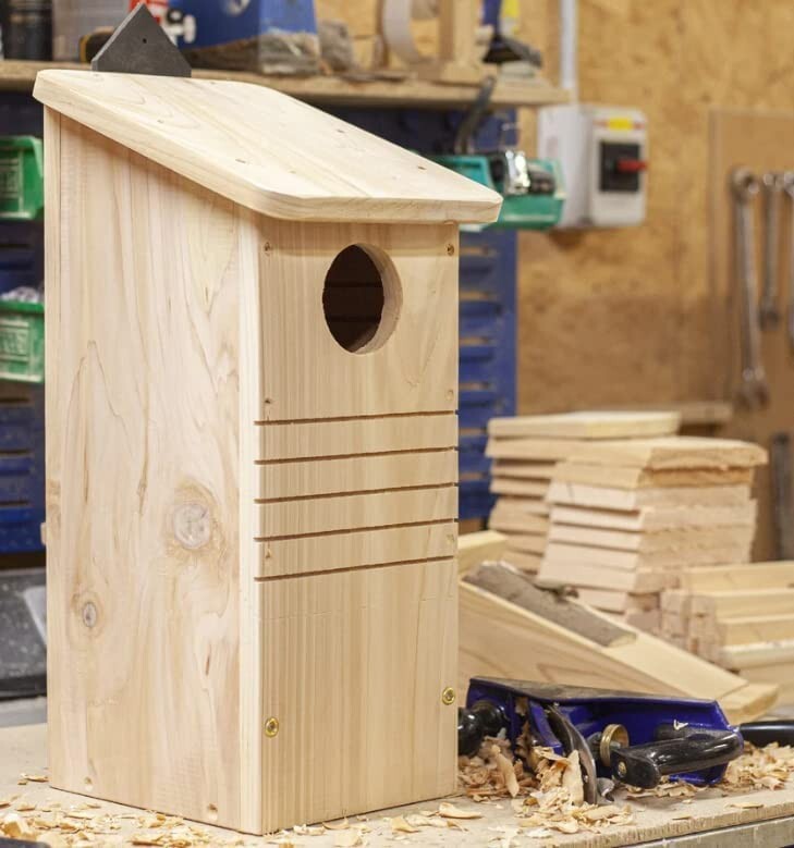 Caja nido de ardilla roja Wildlife World