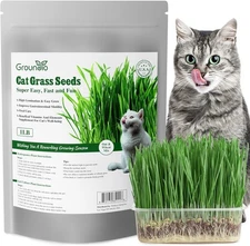 Cat Grass Seeds, 16 OZ, Grown in The USA for Indoor Cats, Non-GMO, 1 Pound
