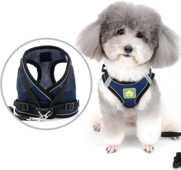 Hundegeschirr Und Leine FüR Kleine Hunde Welpen Verstellbar Reflektierend Brustg-image