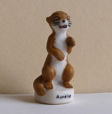 Fève La Tortue Franklin -