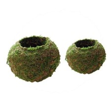 2x 6,12cm Japanese Moss Ball Bonsai Plants Flower Pot Bonsai Holder