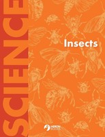 Heron Books | Insects | Taschenbuch | Englisch (2022) | Kartoniert / Broschiert