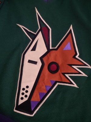 Vintage 90s Phoenix Coyotes Alternative Kachina Starter Jersey
